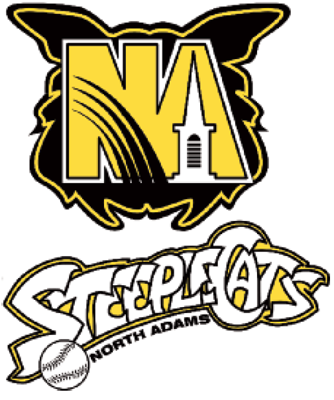 North Adams SteepleCats 2002-Pres Primary Logo iron on transfers for clothing